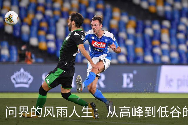 问界的风雨人生：从高峰到低谷的豪华之旅